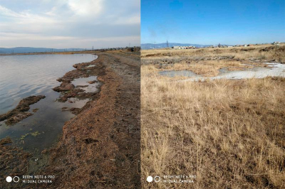 Экологическое бедствие не за горами: Гусиное озеро страдает от местной промышленности